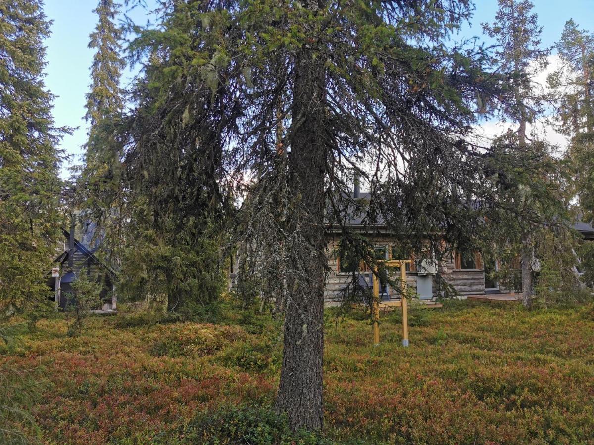 Ruka Inn Luaran gambar